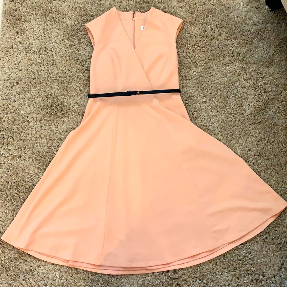 Blush Pink fit & flare